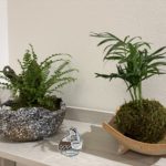 新しい仲間を紹介します