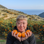 なぜ愛媛のみかんは美味しいのか？