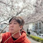 本川町の桜はキレイで見応えあり（広島市中区）